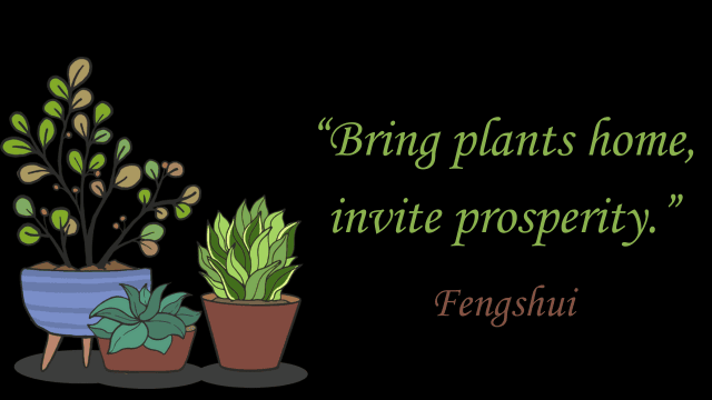 फेंगशुई क्या है 